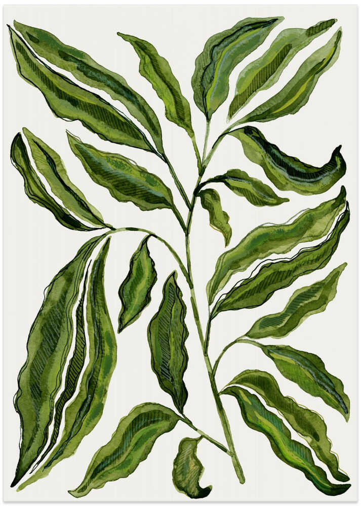 Sprig Of Leaves von Susan Black