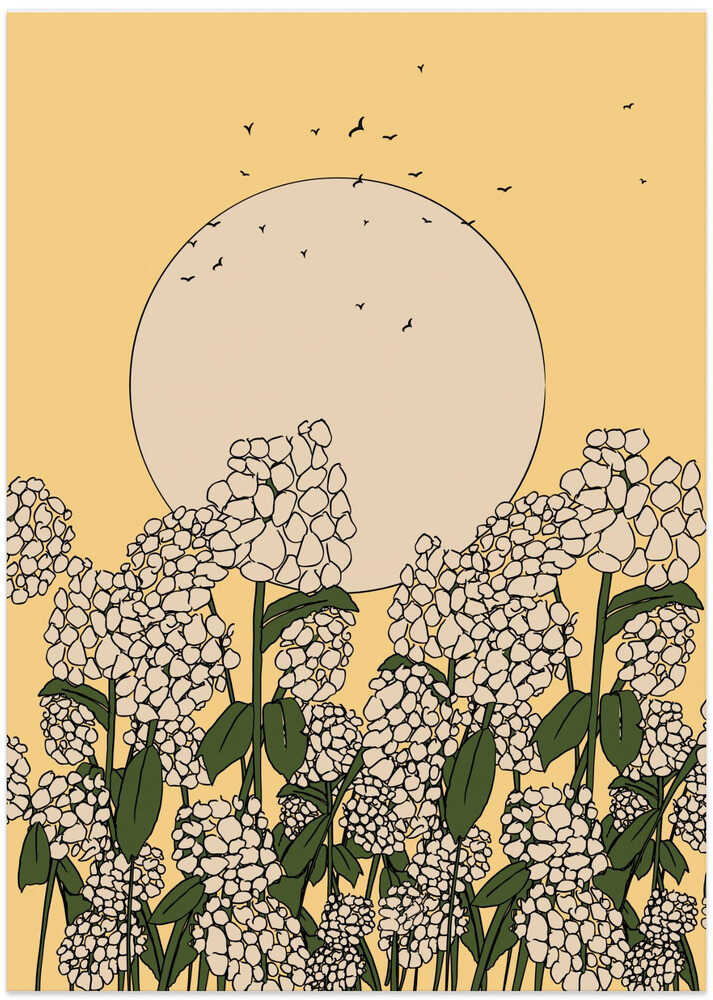 Hydrangea Flower by Nicholas