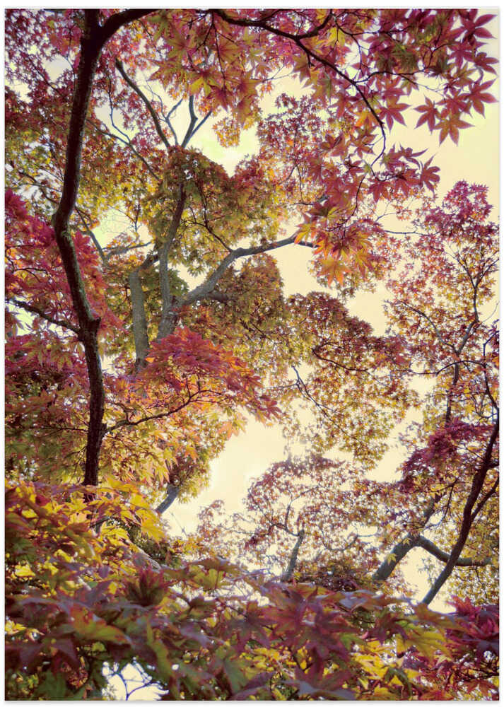 Japanischer Garten von Angelo Cerantola