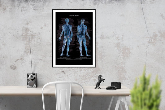 Human Muscles Black Anatomy Poster