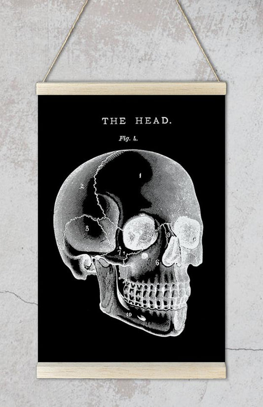 Black Skull Anatomy Art Poster