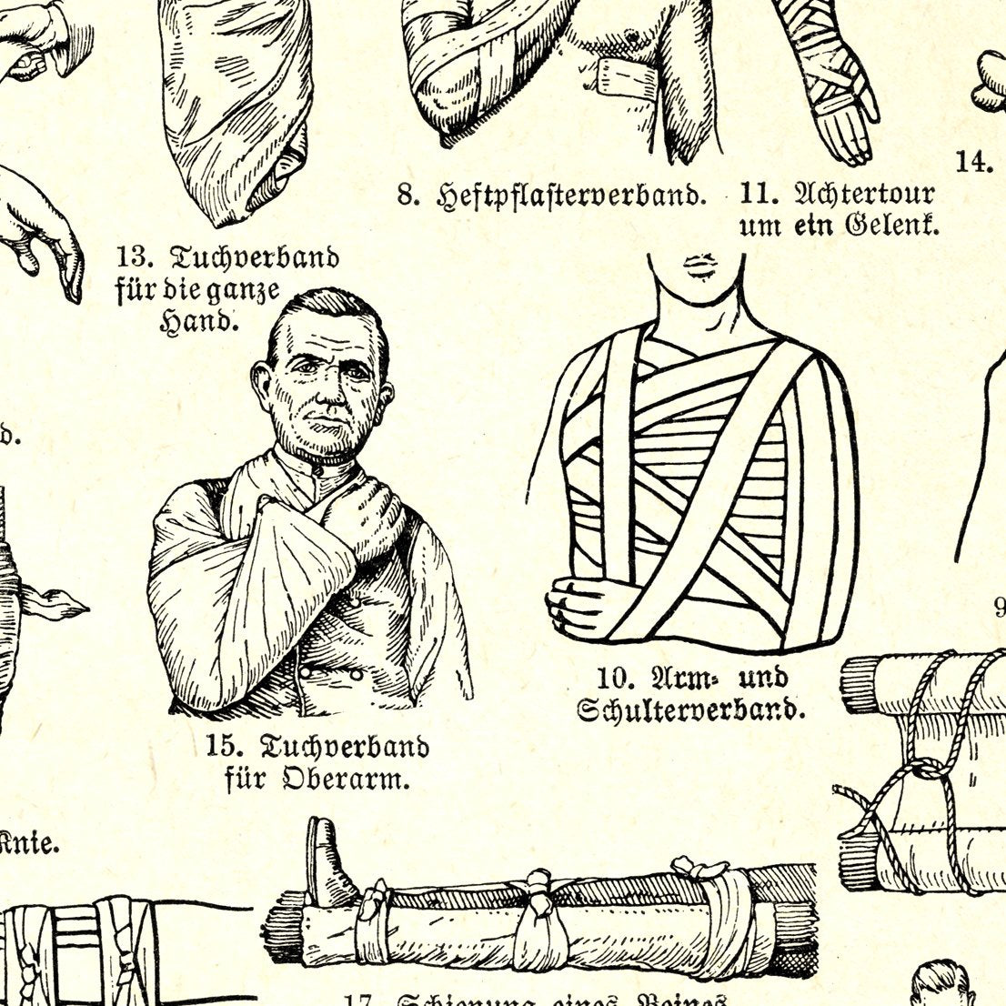 First Aid Vintage Anatomy Poster