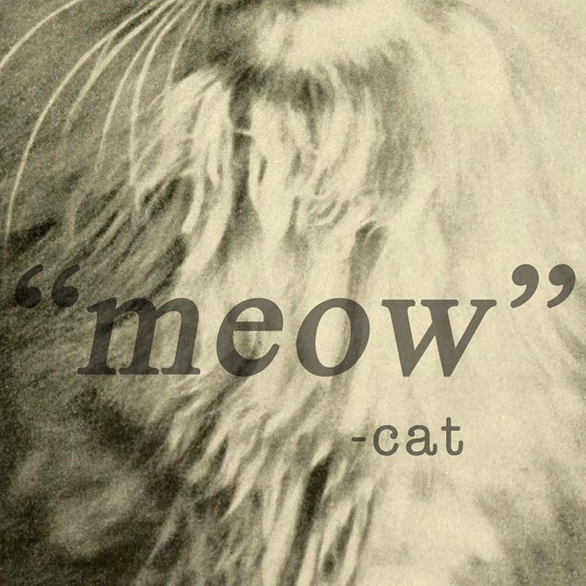 "Meow" Cat Photography Poster
