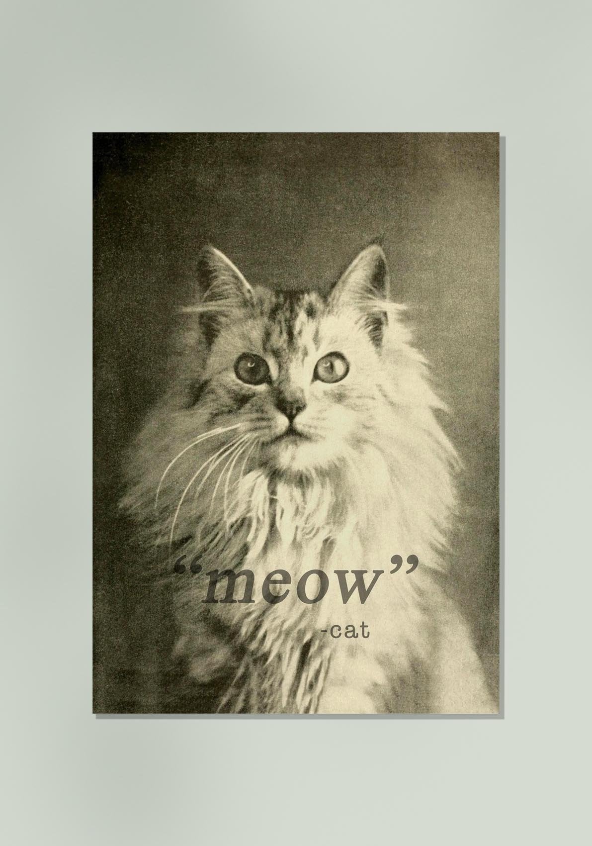 "Meow" Cat Photography Poster