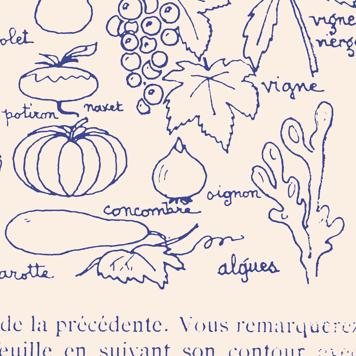 Fleurs et Fruits Art Print by Astër