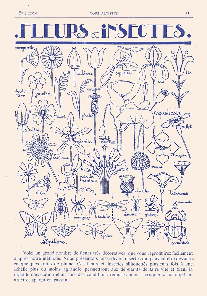 Fleurs et Insectes Art Print by Astër