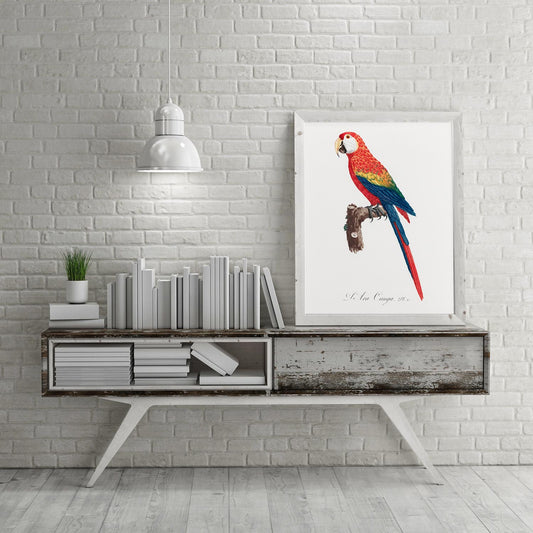 Scarlet Macaw Animal Print