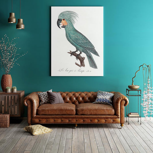 African Grey Parrot Animal Print