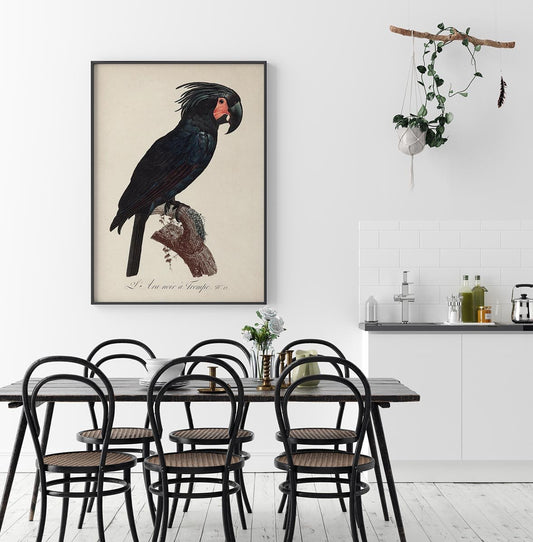 Black Macaw Animal Print