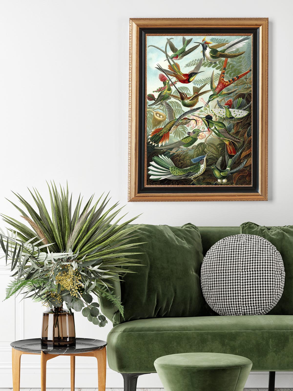 Birds of Paradise by Ernst Haeckel Poster