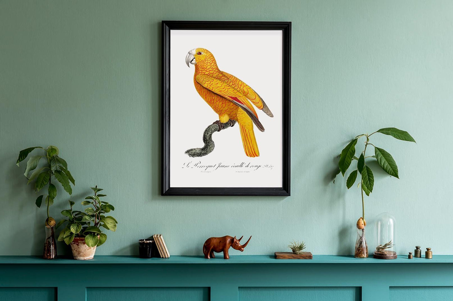 Yellow Parakeet Poster
