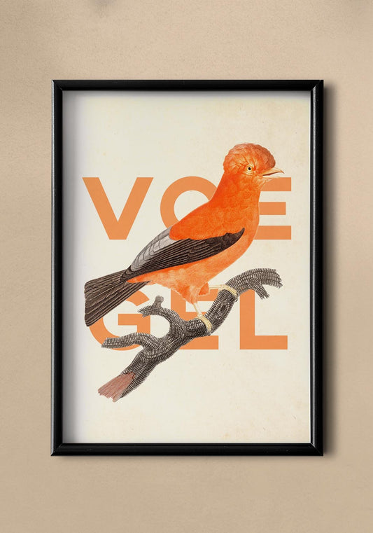 Voegel Orange Bird Poster