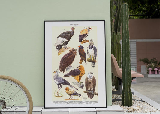 Birds of Prey III Poster
