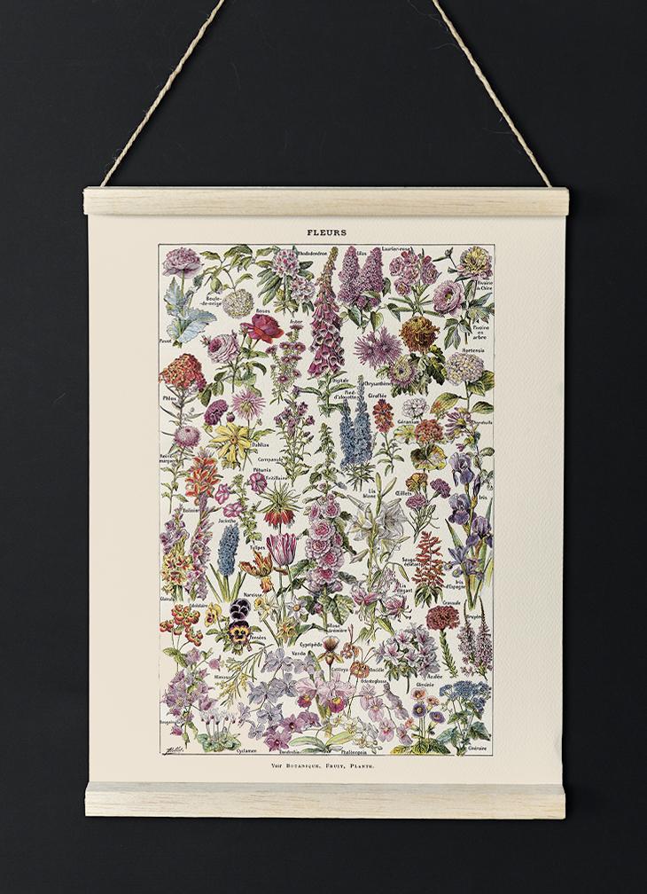 Fleur, the classic Vintage Flowers Chart by Adolphe Millot