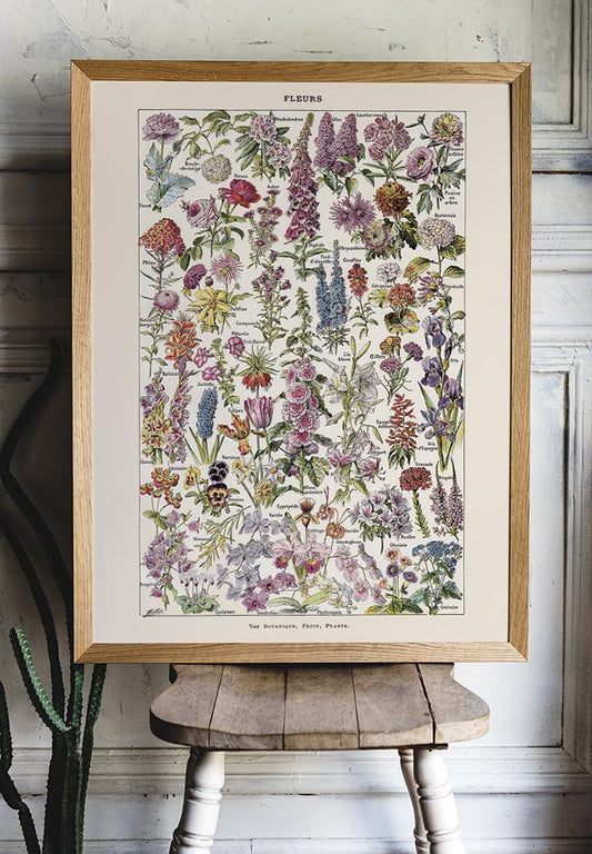 Fleur, the classic Vintage Flowers Chart by Adolphe Millot