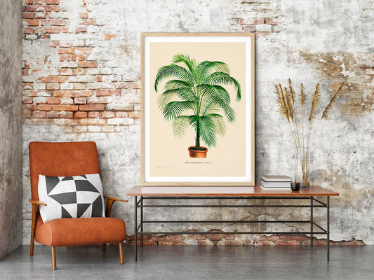 Coco Weddelliana Palm Tree Poster