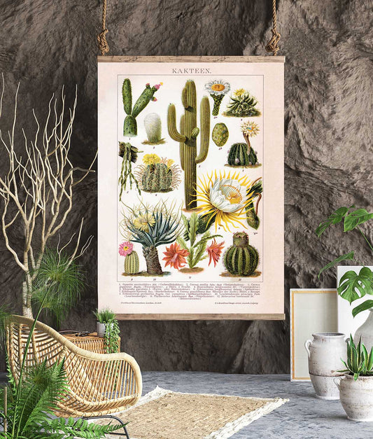 Cactus Collage Brockhaus