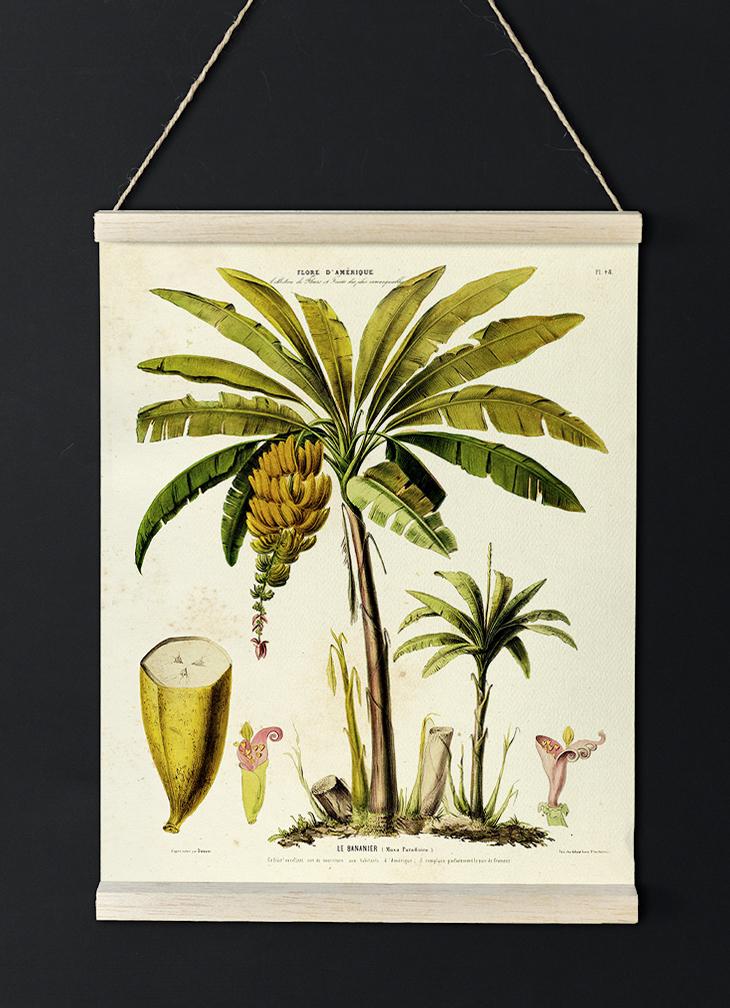 Le Bananier Vintage Poster