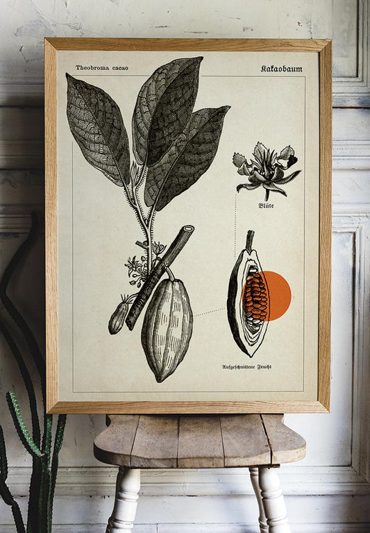Cocoa Botanical Poster - Kakaobaum