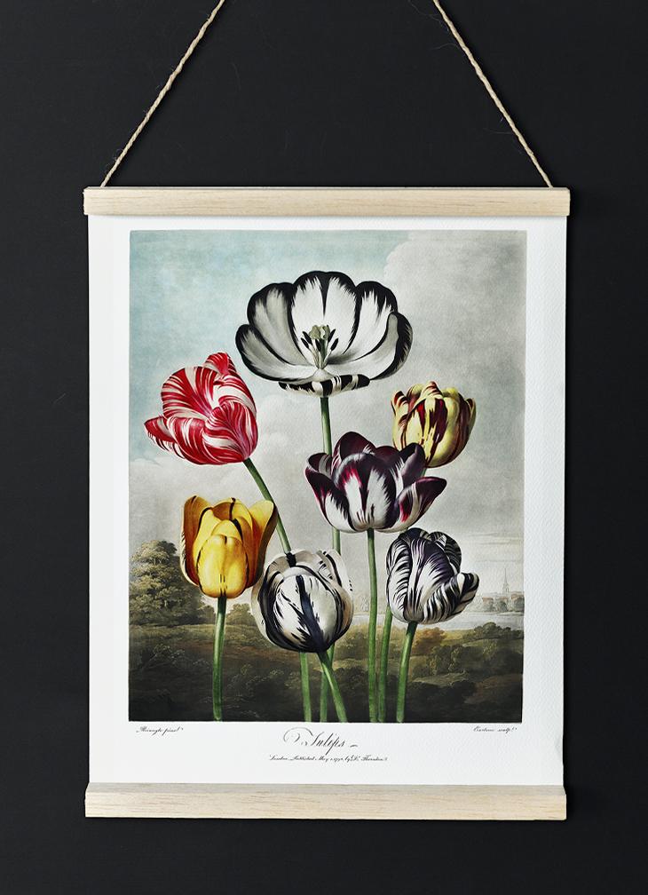 Flower Print Tulips Temple of Flora