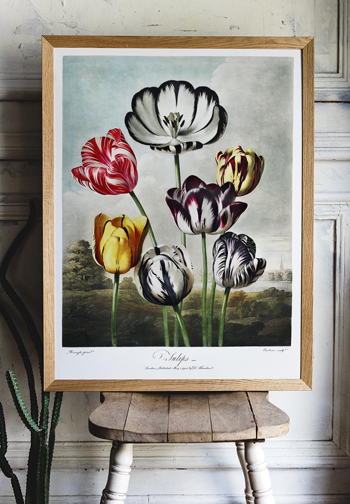 Flower Print Tulips Temple of Flora