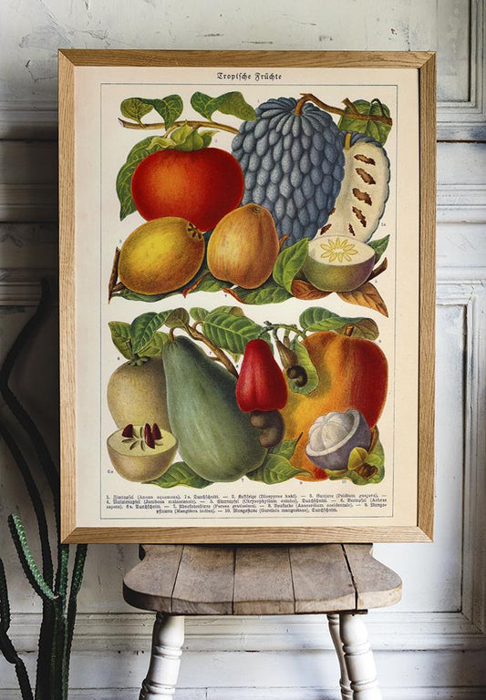 Tropical Fruits Botanical Poster