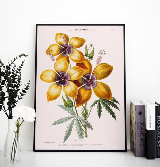 Hibiscus Botanical Poster