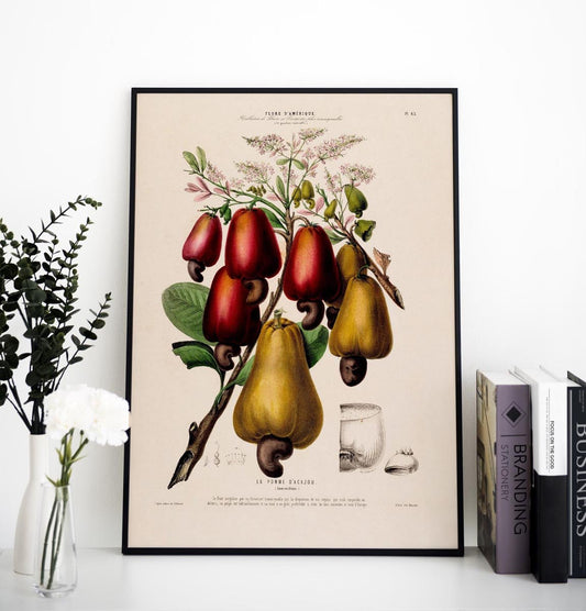 La Pomme Dácajou Botanical Poster