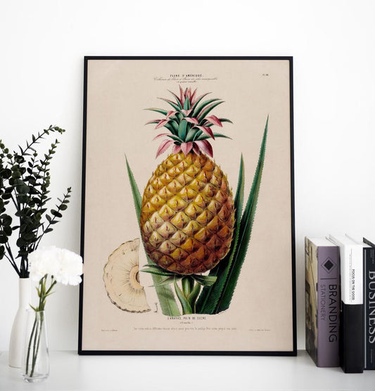 L' anana Pain De Sucre Botanical Poster
