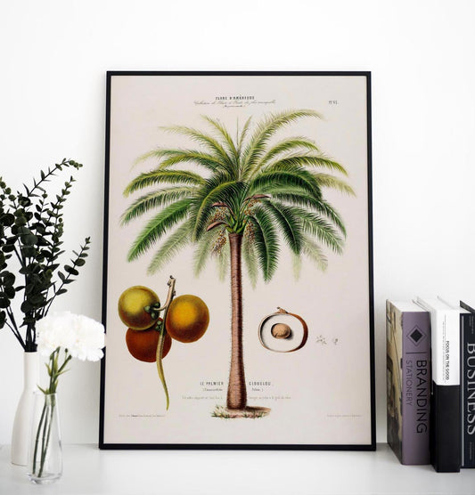 Le Palmier Glouglou Botanical Poster