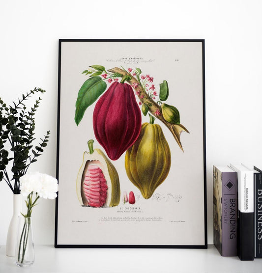 Le Chocolayer Botanical Poster