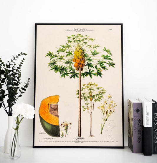Le Papayer Botanical Poster