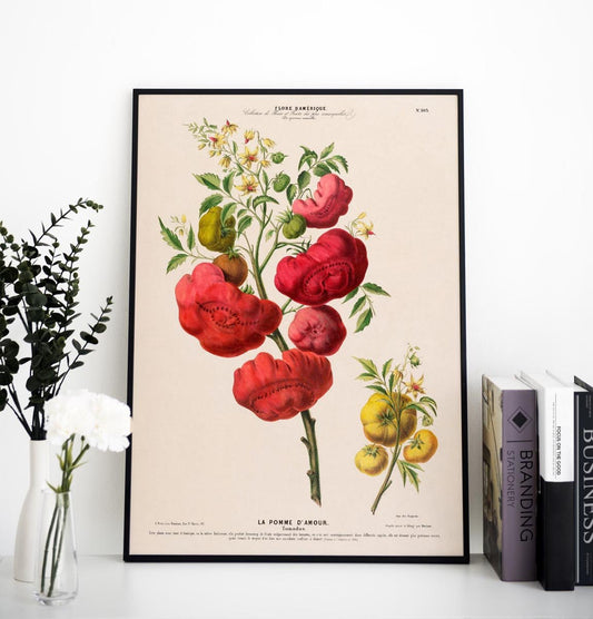 La Pomme d'Amour Botanical Poster