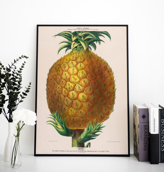 L'Ananas Botanical Poster