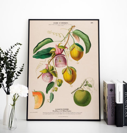 La Lianne Pomme Botanical Poster