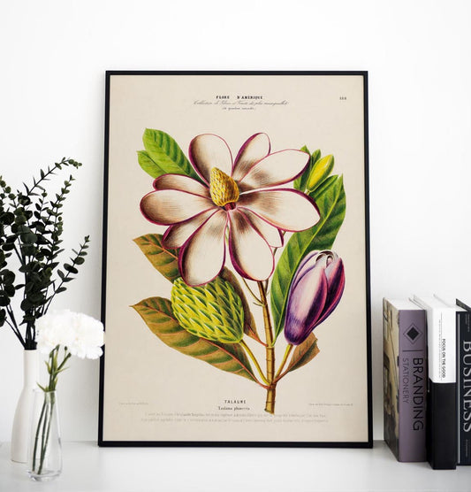 Talaume Botanical Poster