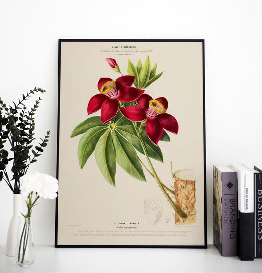 Le Coton Fromager Botanical Poster