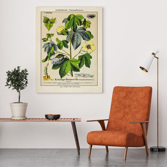Cotton Plant Poster