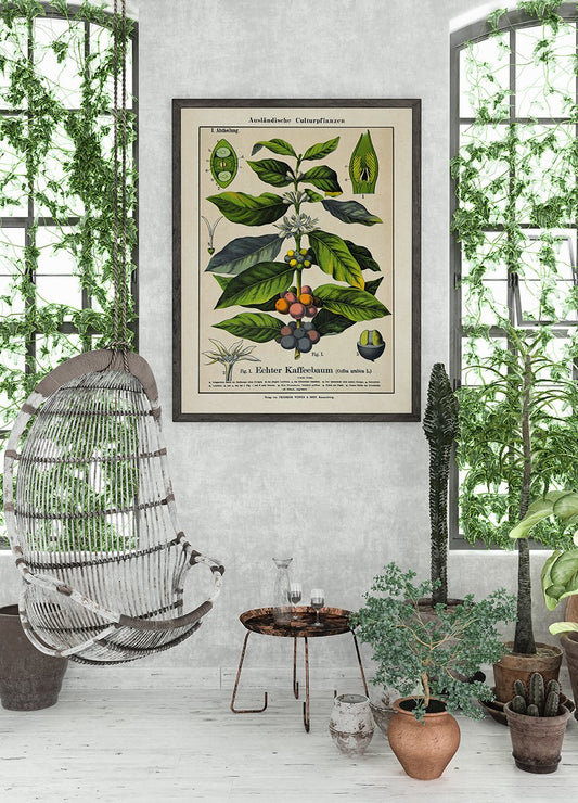 Coffee Plant Poster