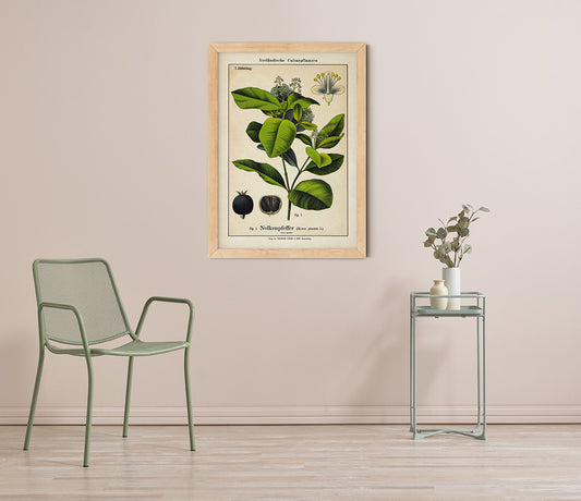 Clove Plant Poster