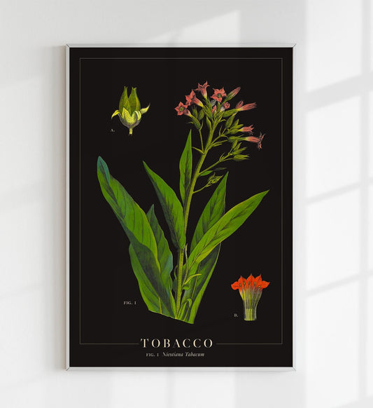 Tobacco Botanical Poster
