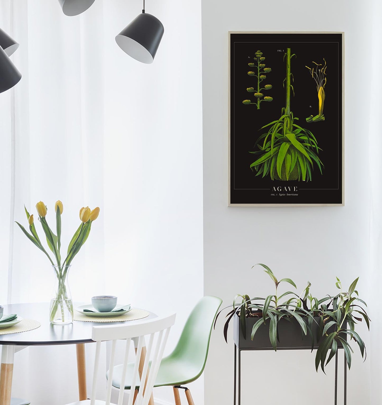 Agave Botanical Poster