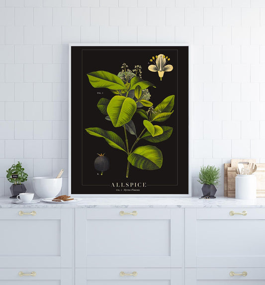 Allspice Botanical Poster