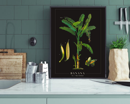 Banana Botanical Poster