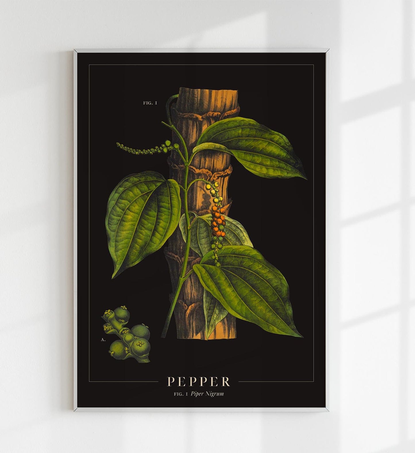 Pepper Botanical Poster