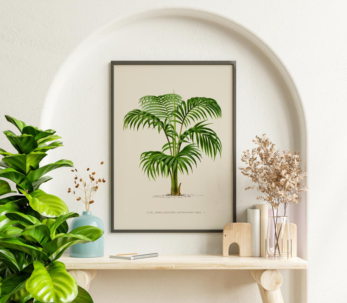 Kentia Caterburyana Palm Tree Art Print by Pieter Joseph de Pannemaeker