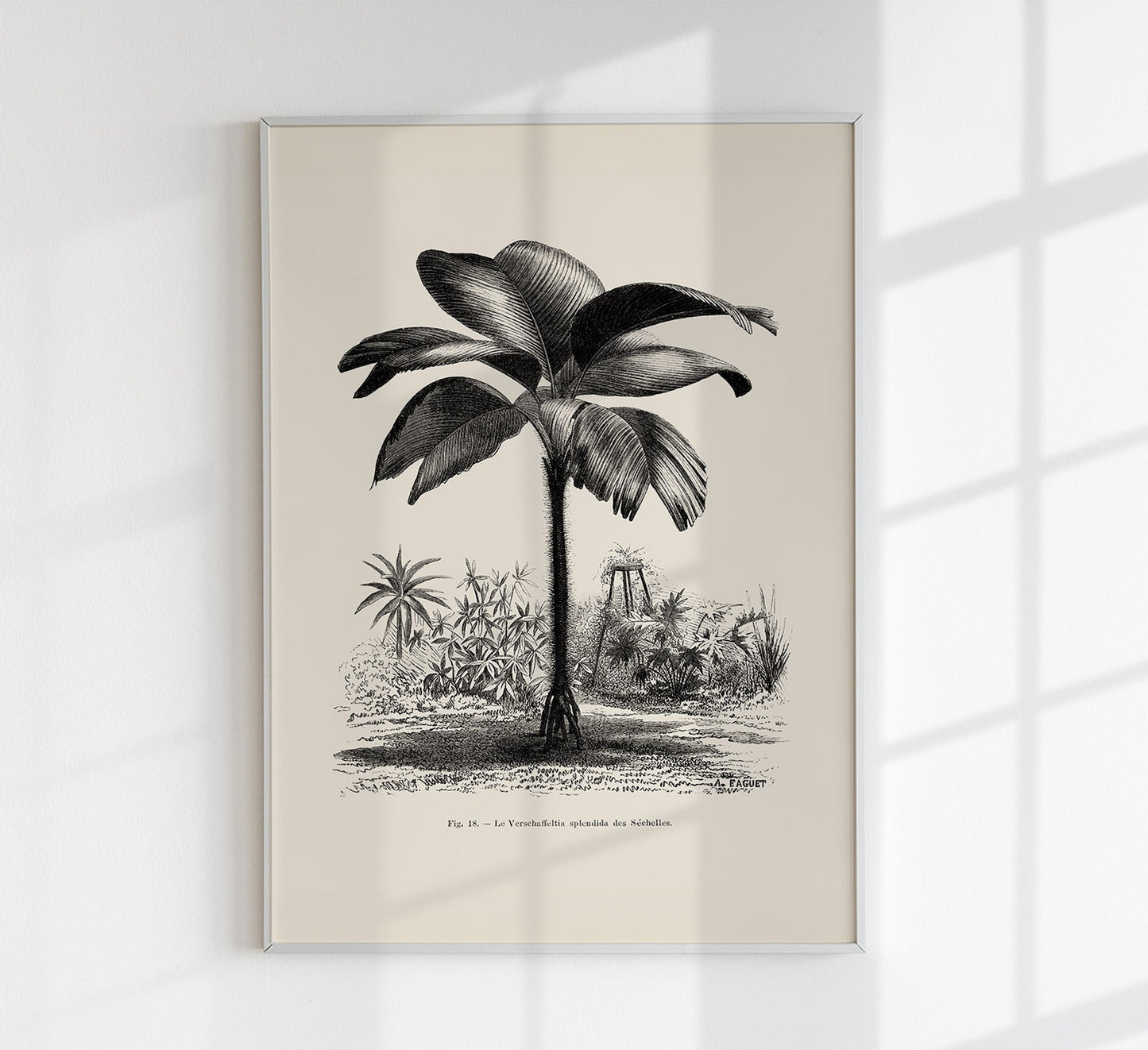 Seychelles palm tree Art Print by Pieter Joseph de Pannemaeker