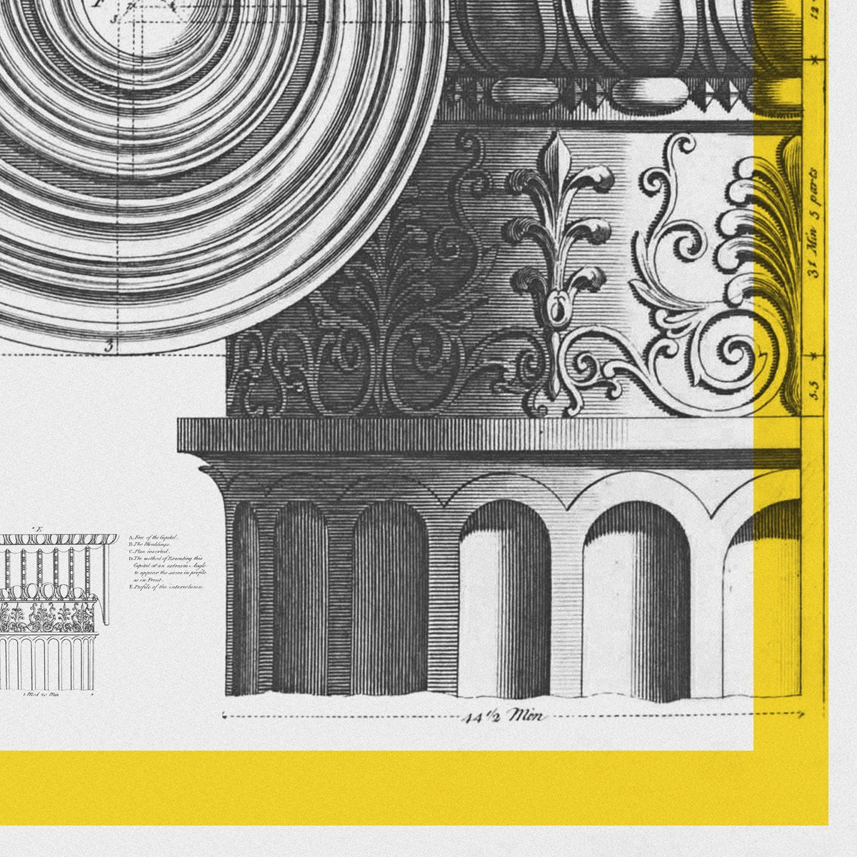 Capitello Ionico Romano Architecture Poster