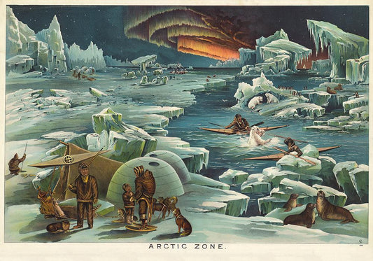Arctic Zone Poster - Vintage Science Illustration