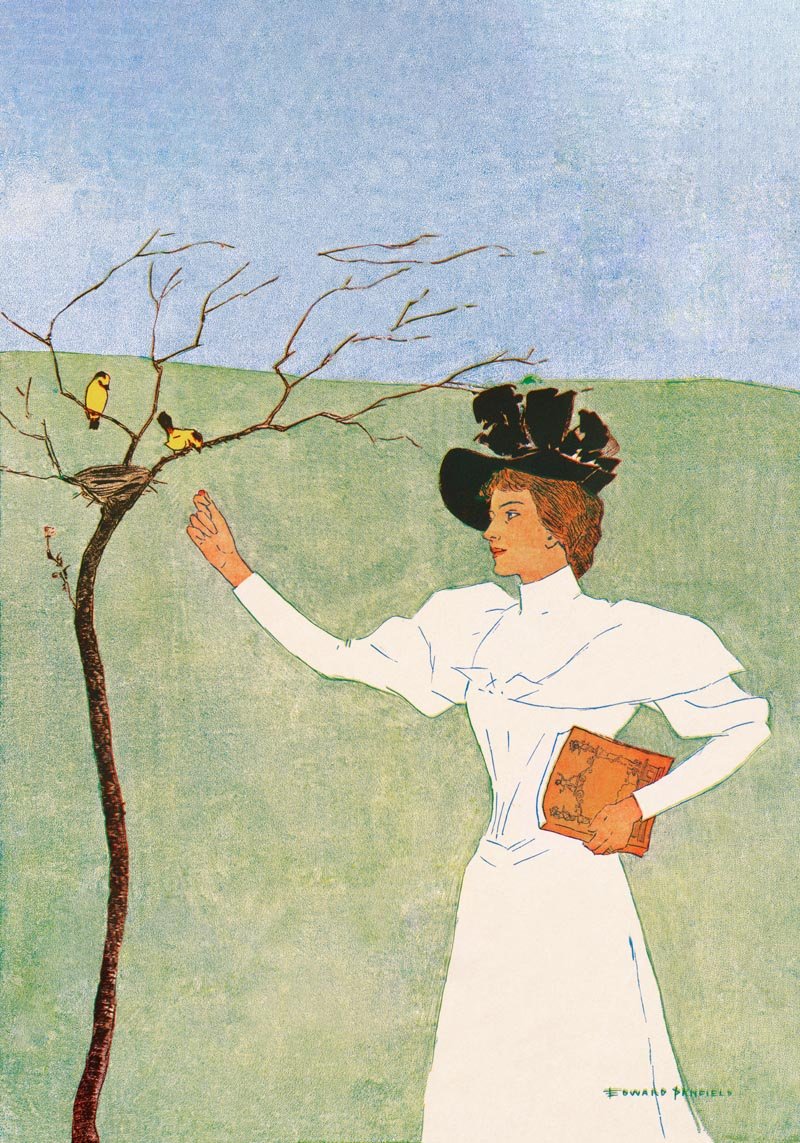 Woman Reaching for Birds by Edward Penfield